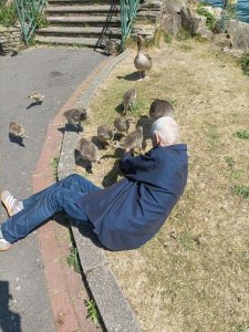 IMG-20250515-WA0004
