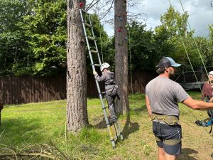 IMG-20250819-WA0019