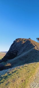 WhatsApp-Image-2026-01-03-at-17.52.44-6