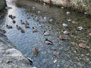 WhatsApp-Image-2026-01-03-at-17.52.45-2