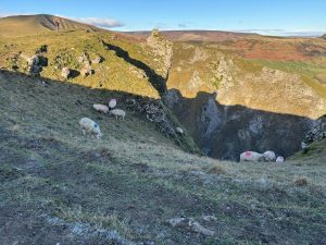 WhatsApp-Image-2026-01-03-at-17.52.45-4