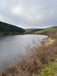 WhatsApp-Image-2026-01-31-at-15.56.53-3