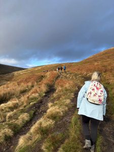 WhatsApp-Image-2026-01-31-at-15.56.56-1