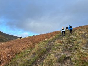 WhatsApp-Image-2026-01-31-at-15.56.56-4