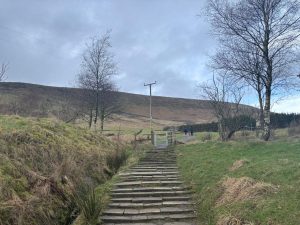 WhatsApp-Image-2026-01-31-at-15.56.59-2