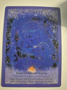 WhatsApp-Image-2026-02-05-at-16.21.41-4