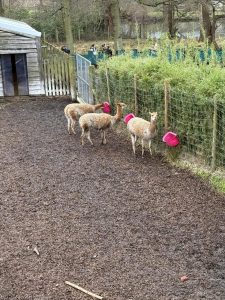 WhatsApp-Image-2026-02-19-at-16.15.17-2