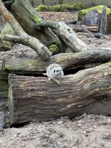 WhatsApp-Image-2026-02-19-at-16.15.18-1