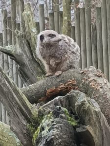 WhatsApp-Image-2026-02-19-at-16.15.18-10