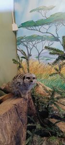 WhatsApp-Image-2026-02-19-at-16.15.18-2