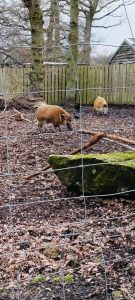 WhatsApp-Image-2026-02-19-at-16.15.18-7