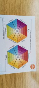 WhatsApp-Image-2026-02-19-at-16.15.18-8