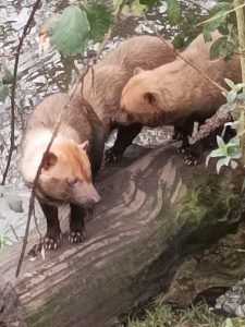 WhatsApp-Image-2026-02-19-at-16.15.18-9