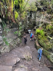 WhatsApp-Image-2026-03-08-at-13.51.06-5