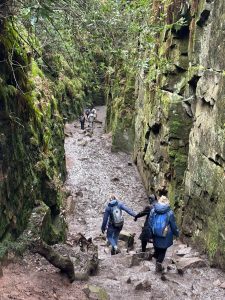 WhatsApp-Image-2026-03-08-at-13.51.06