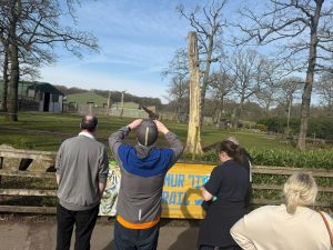 WhatsApp-Image-2026-03-19-at-15.35.25-1