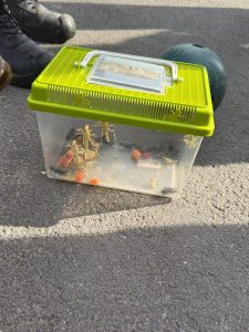 WhatsApp-Image-2026-03-19-at-15.35.28-1