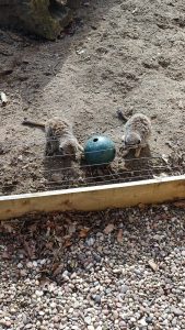 WhatsApp-Image-2026-03-19-at-15.35.30-1