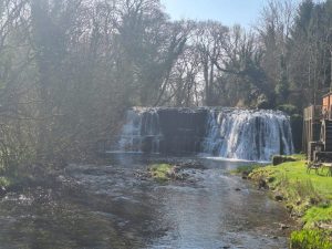 WhatsApp-Image-2026-03-21-at-16.16.03-1