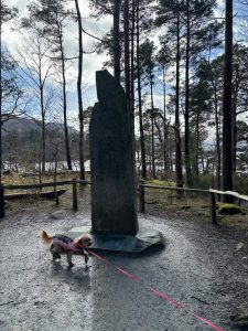 WhatsApp-Image-2026-03-28-at-19.58.20